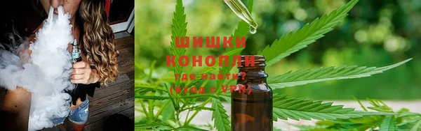 гидропоника Богданович
