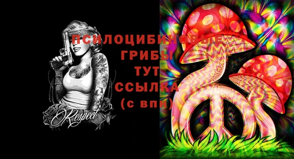 MDMA Богородицк
