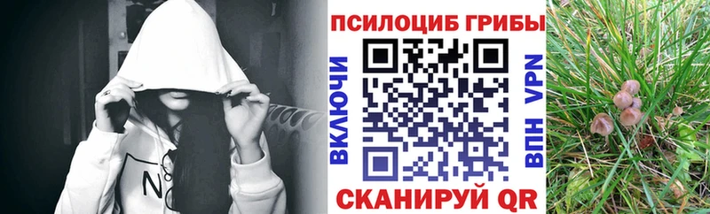 Псилоцибиновые грибы Magic Shrooms  наркота  мориарти клад  Яровое 